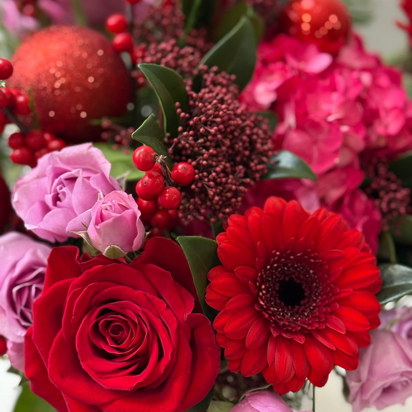 Festive Rose Glow