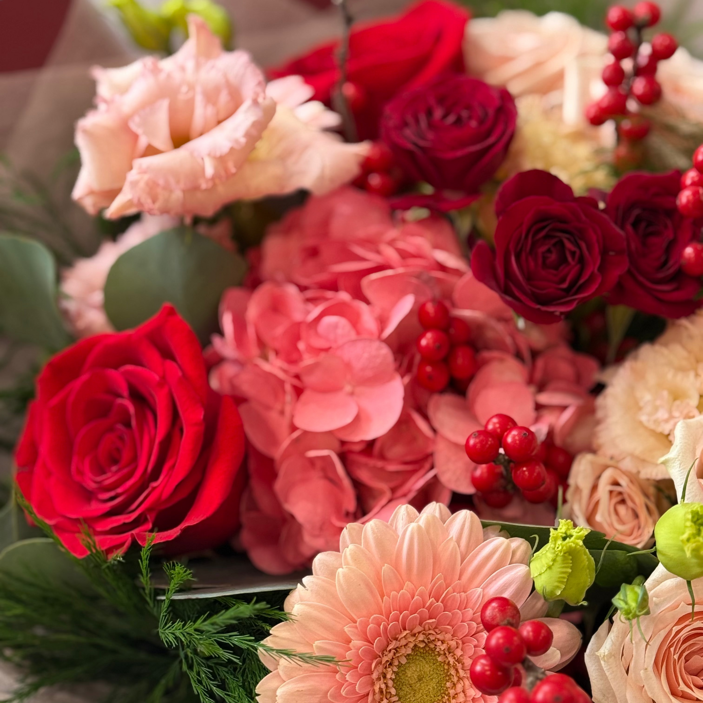 Happy Festival