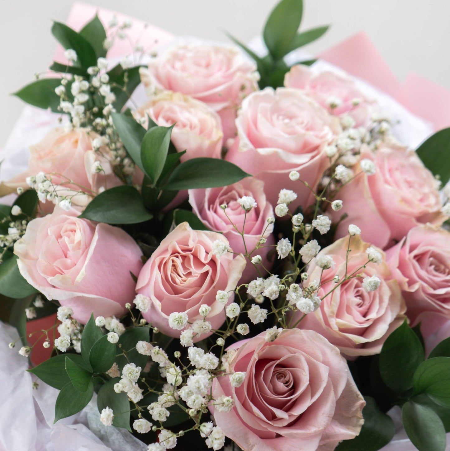 Pure Rosette