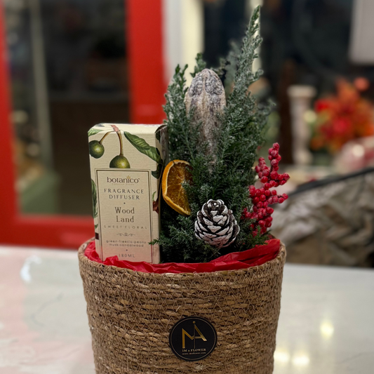 Merry Tree Scent