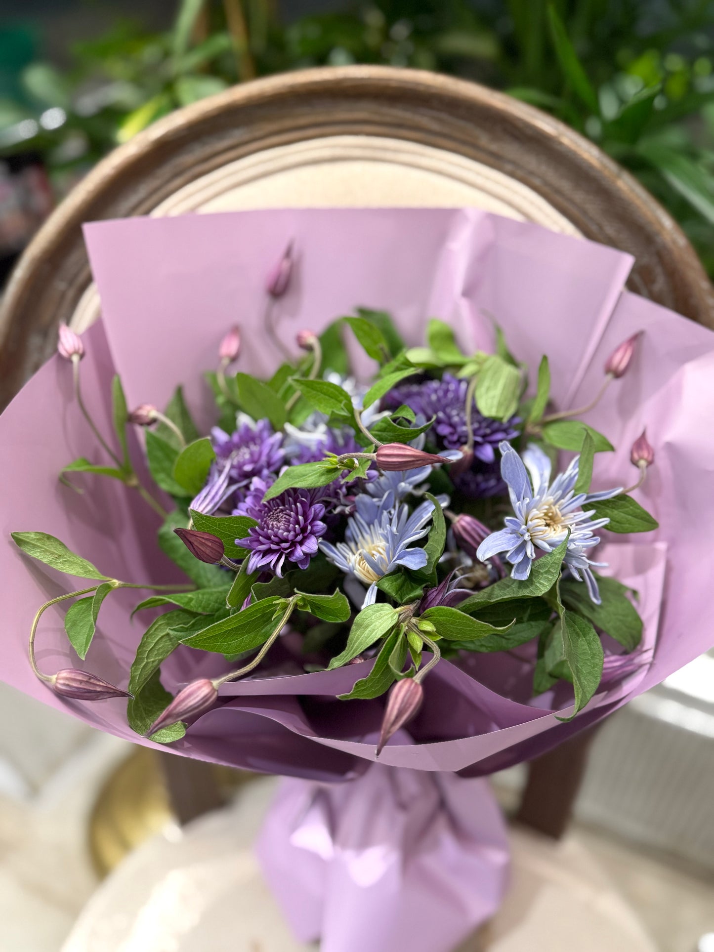 Spring in Violet