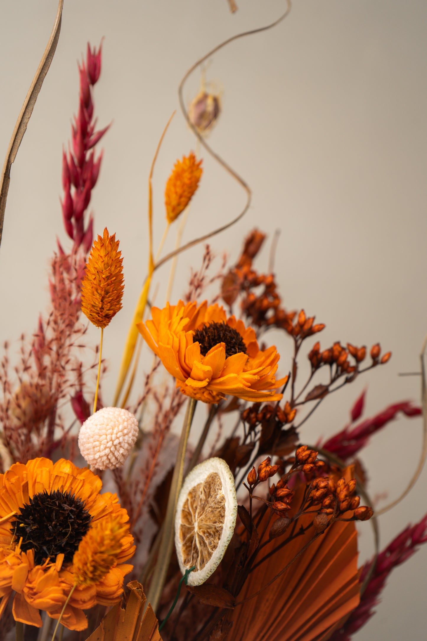 Dried Flower1