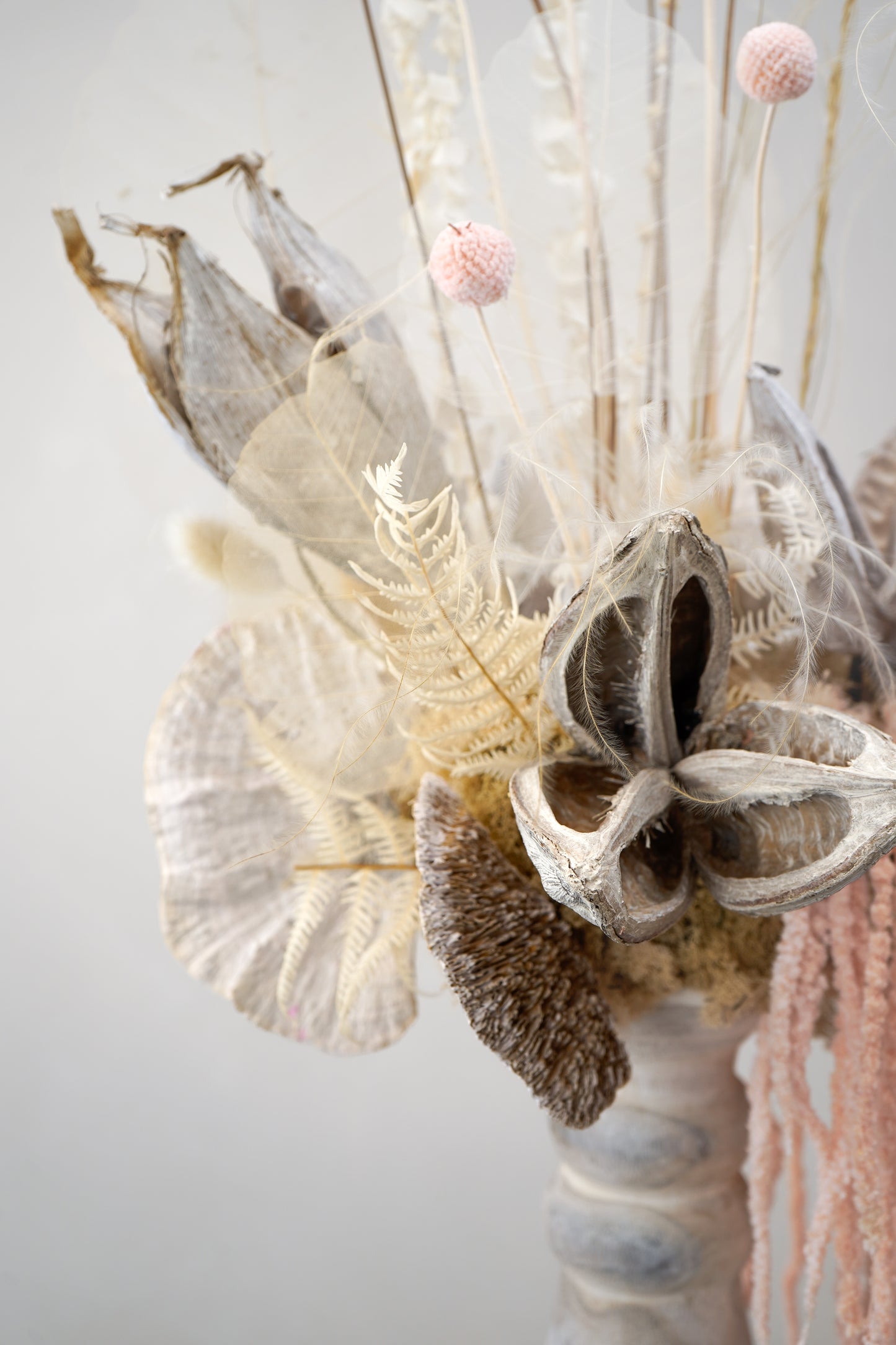 Dried Flower5