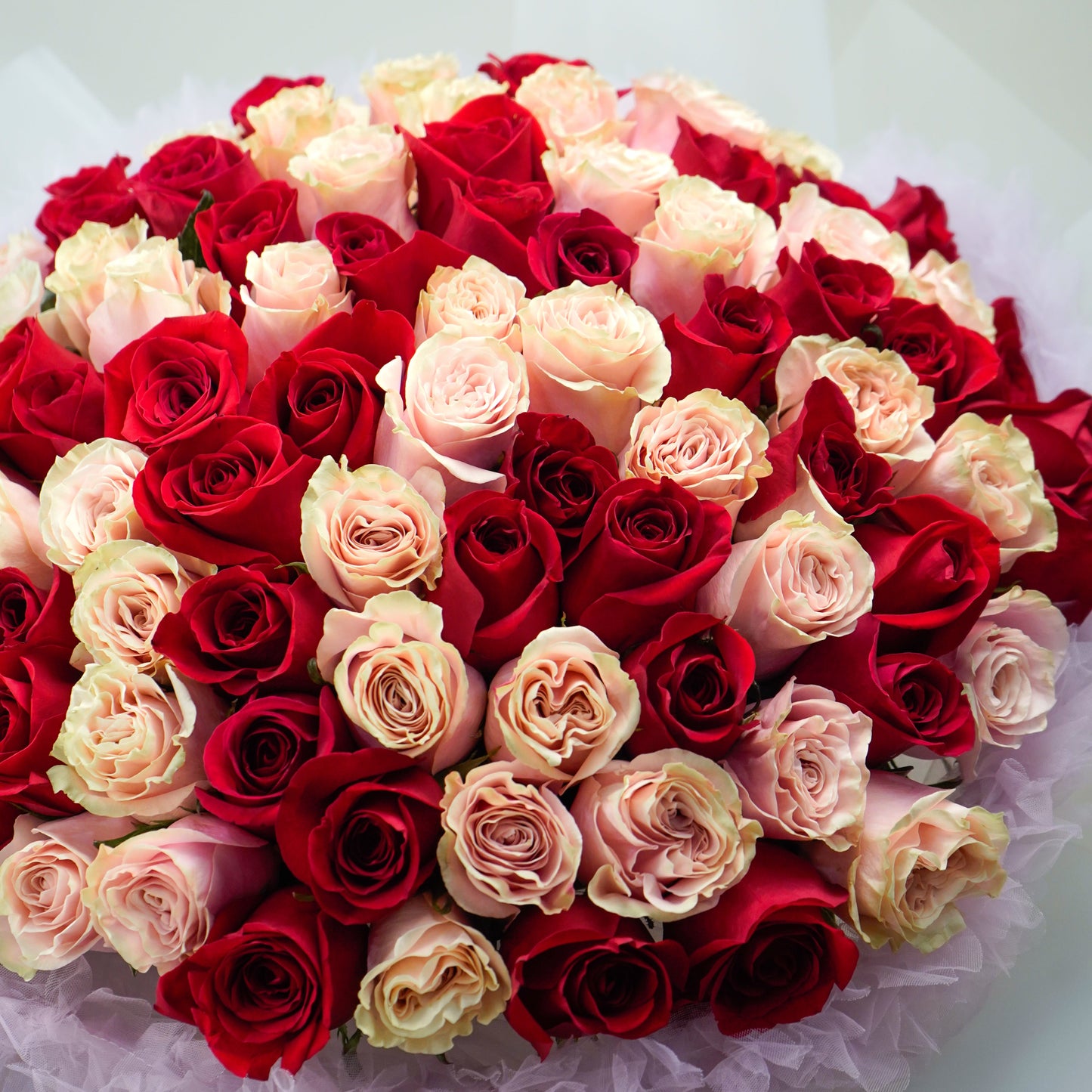 My Every Moment (100Roses)