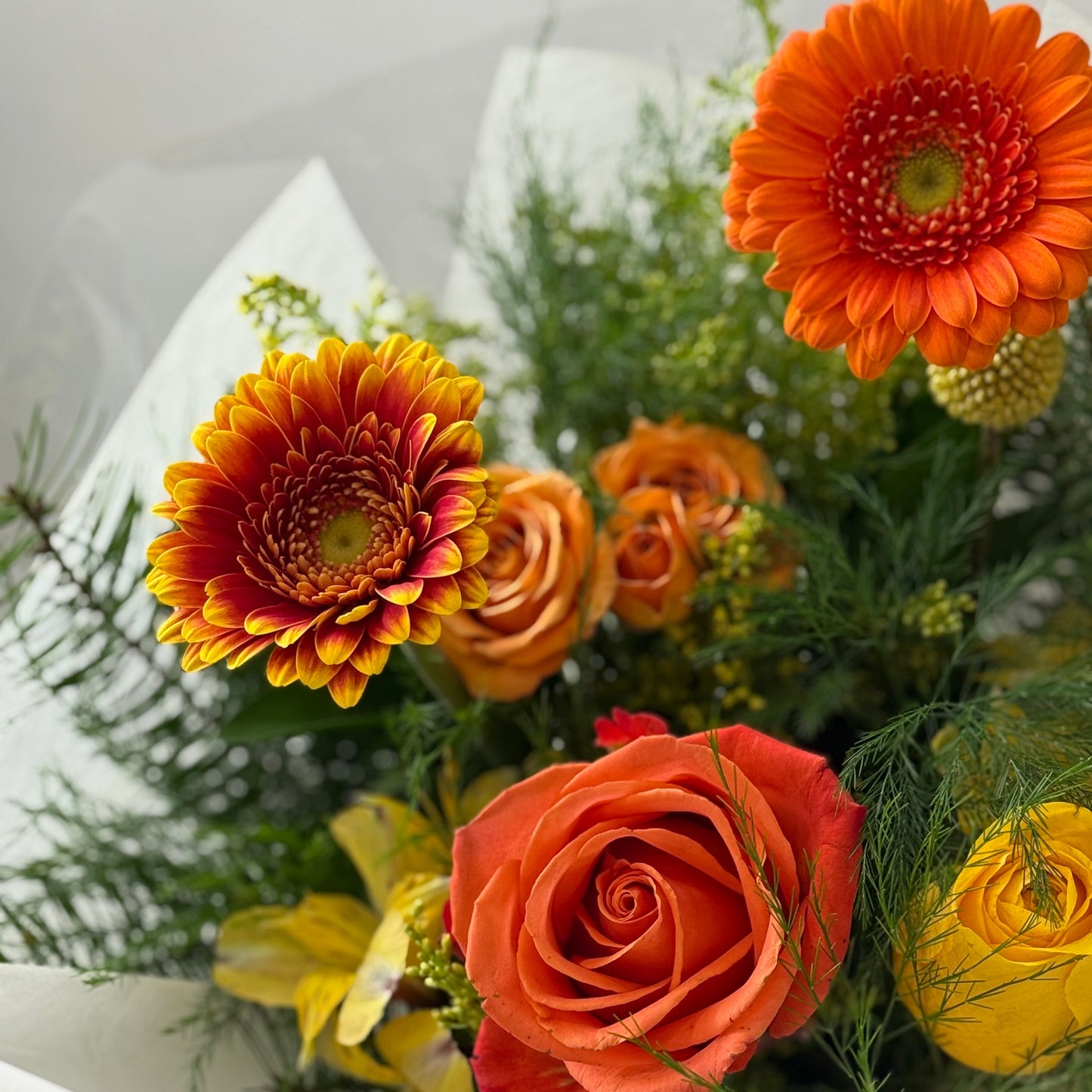 Juicy Bloom