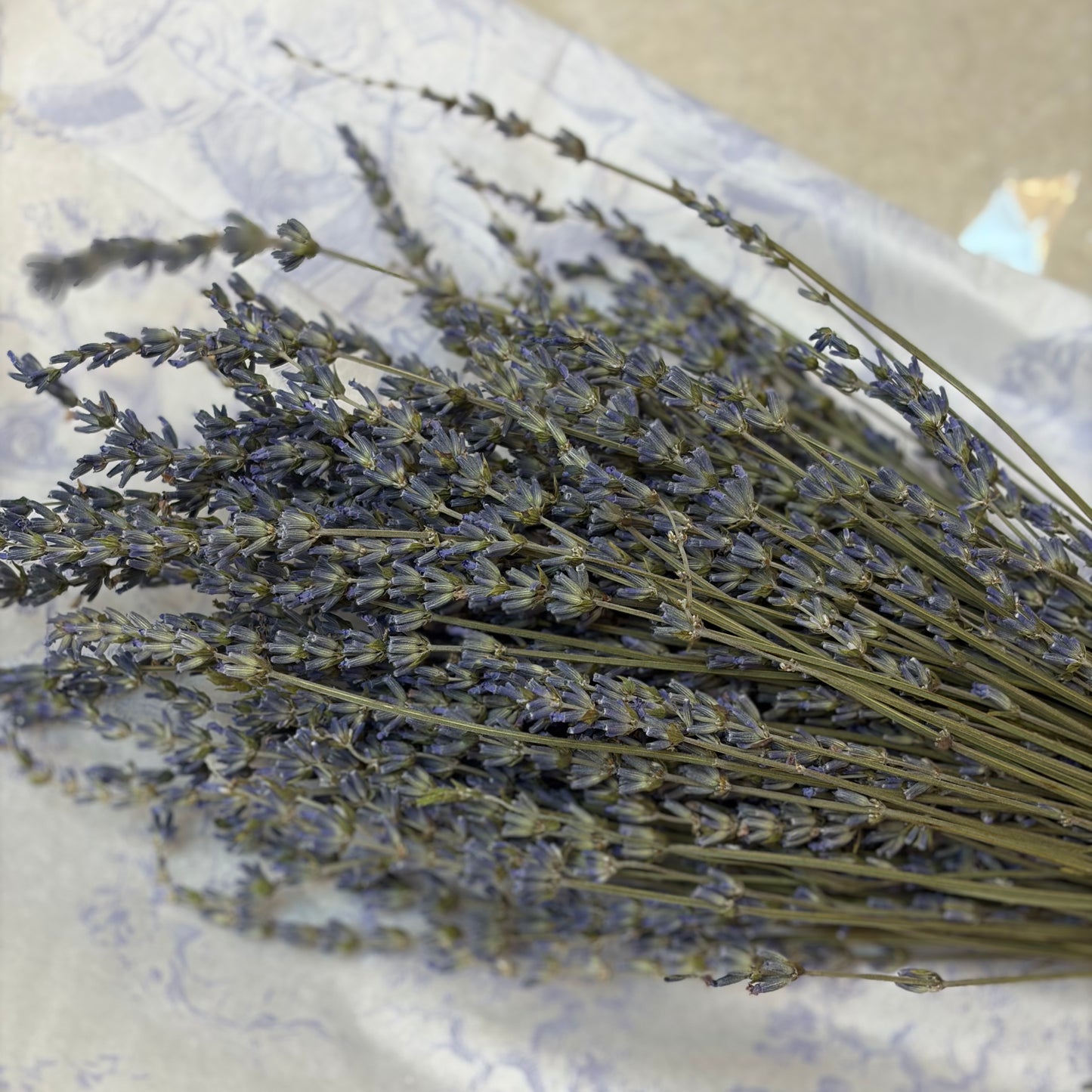 Dried Lavender Bouquet