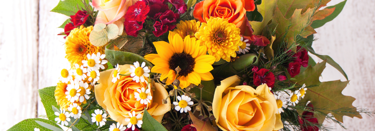 [HOLIDAY/SEASONAL] FLOWER