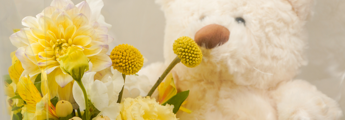 [GIFT SET] WITH TEDDY BEAR