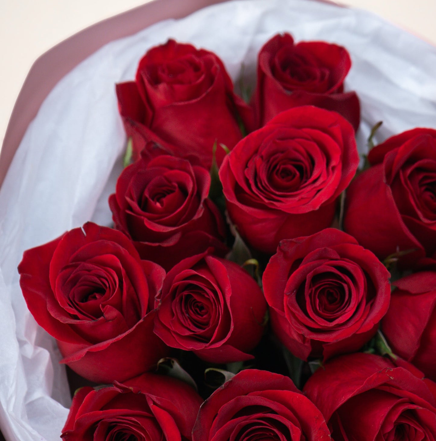 Rouge Étoile