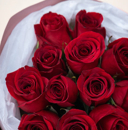 Rouge Étoile