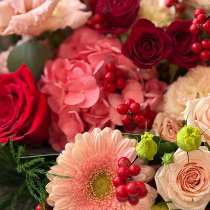 Happy Festival