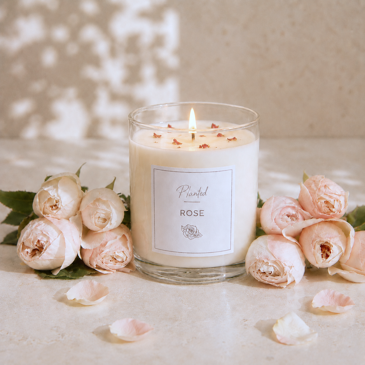 [Classic Candles] Rose