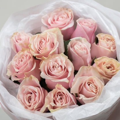 Milk Tea Rose