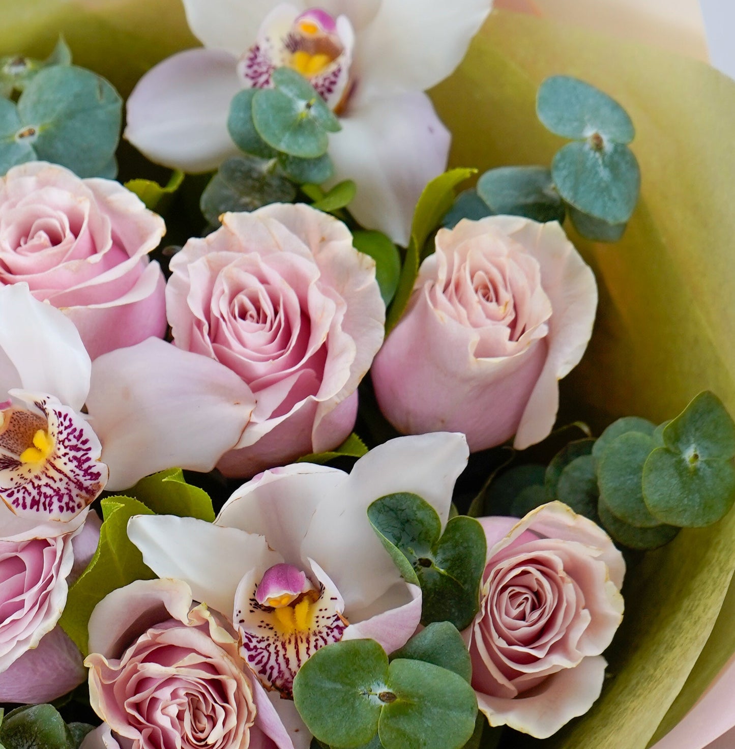 Pastel Blossom