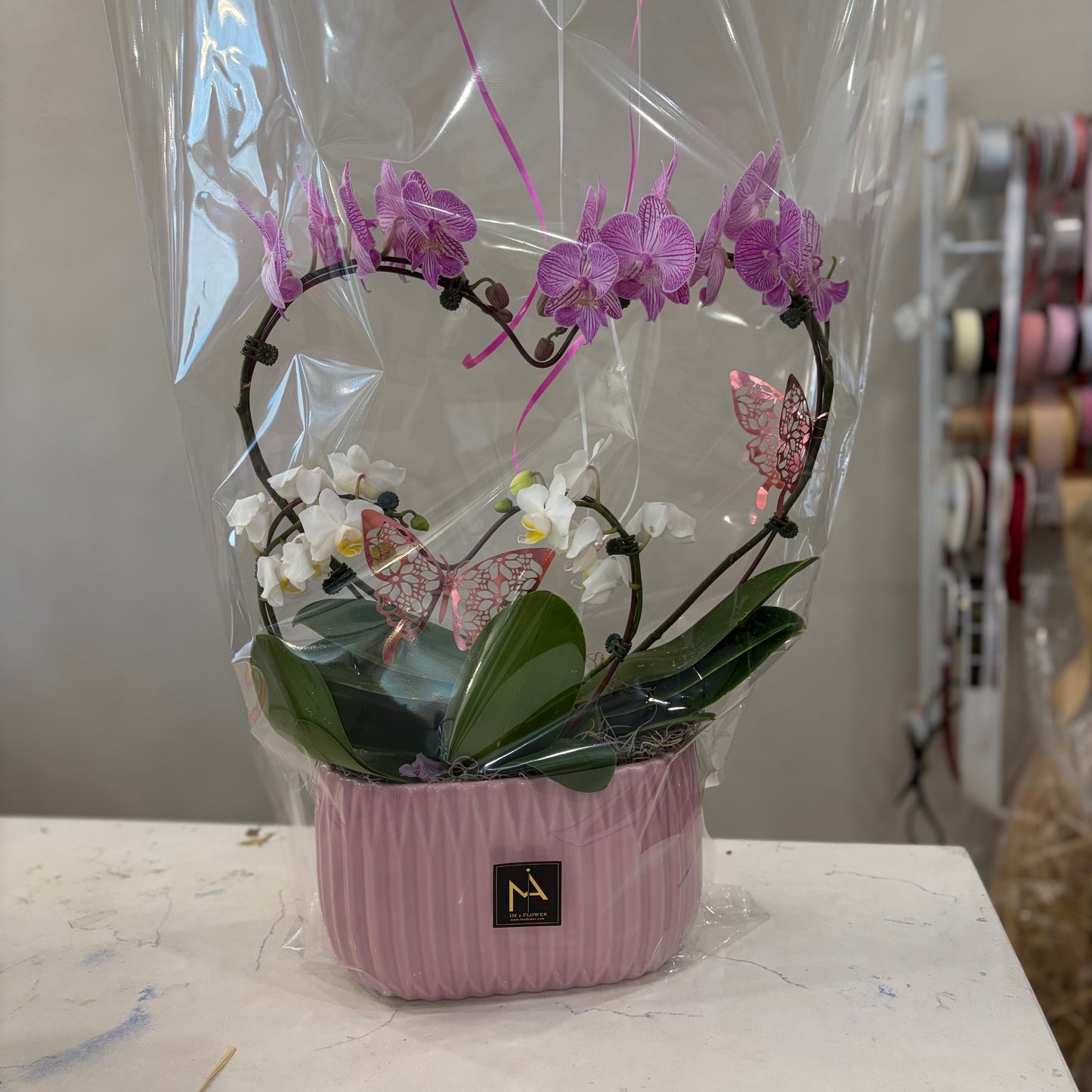 Double Heart Orchid - 2