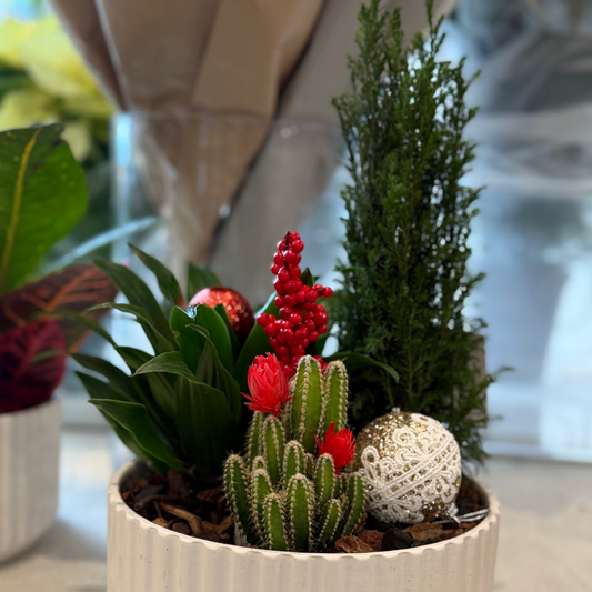 Ruby Glow Arrangement