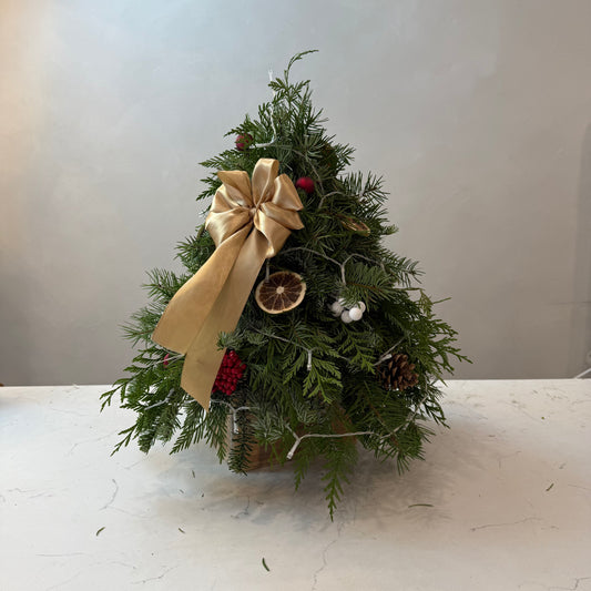 Golden Ribbon Tree