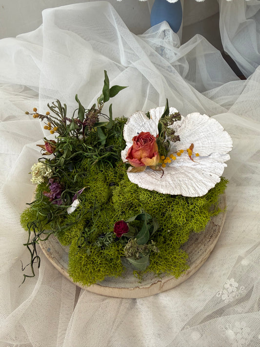Mossy Whimsy