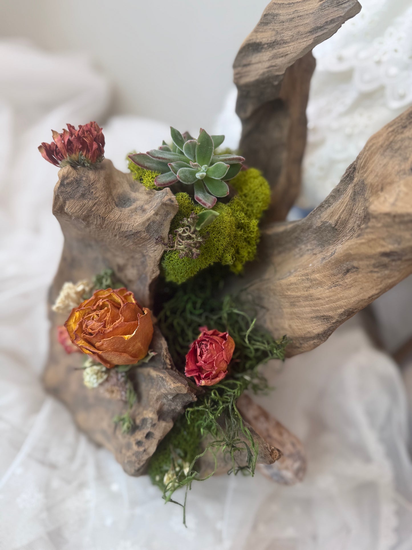 Forest Keepsake
