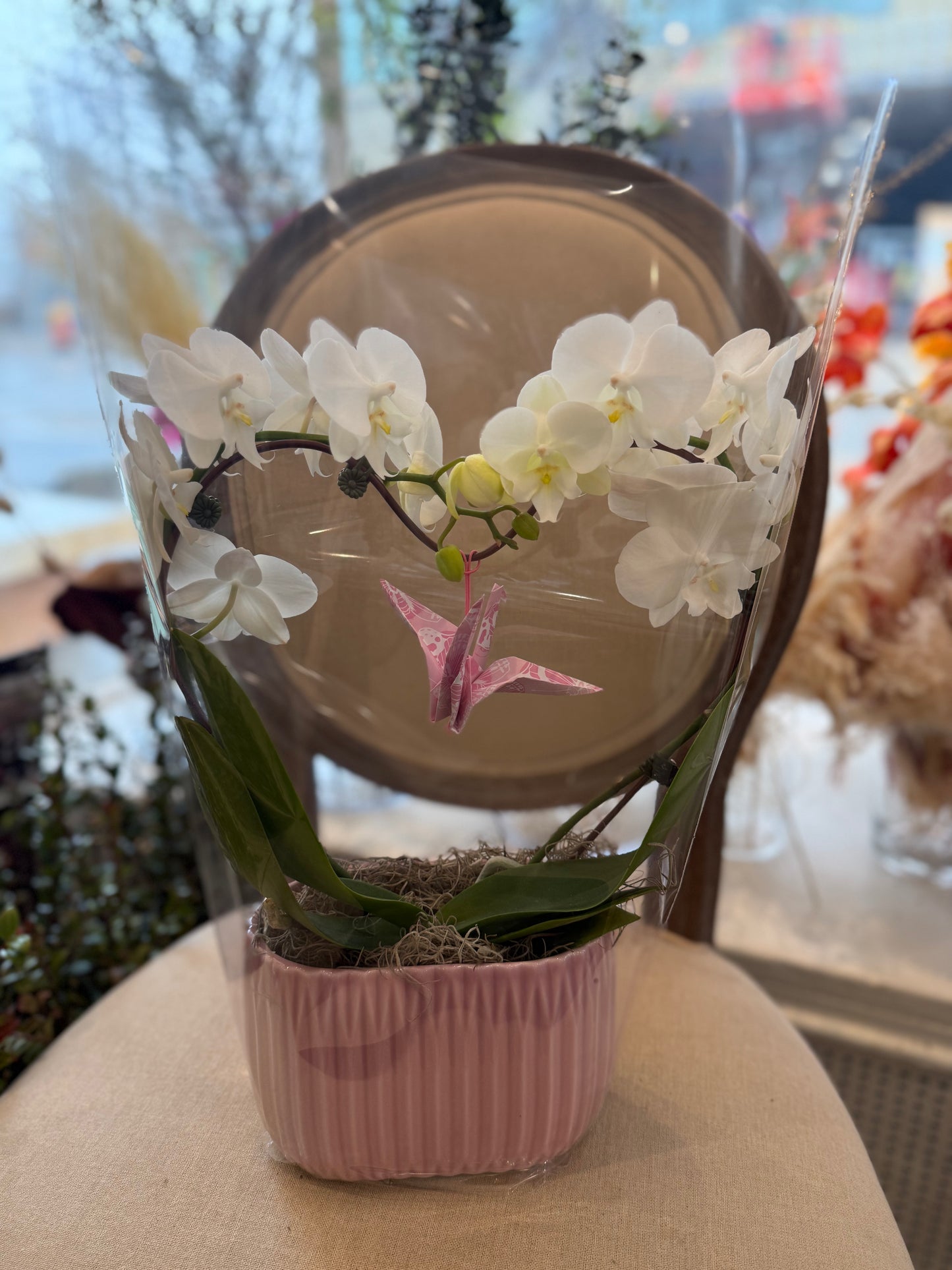 Heart Orchid - 2