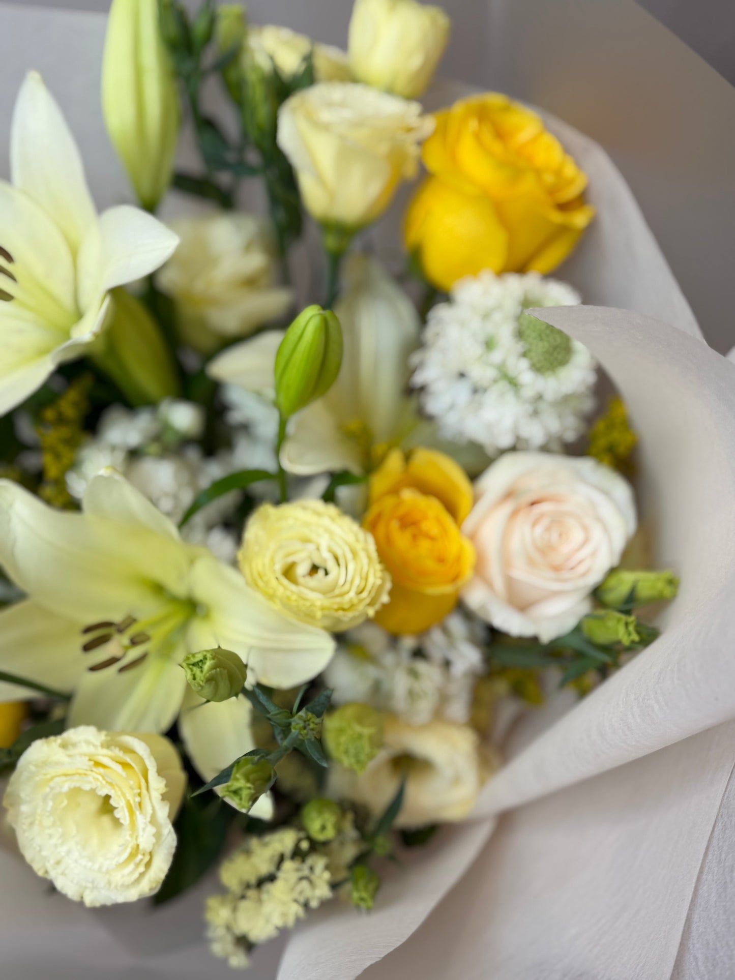 Golden Ivory Harmony