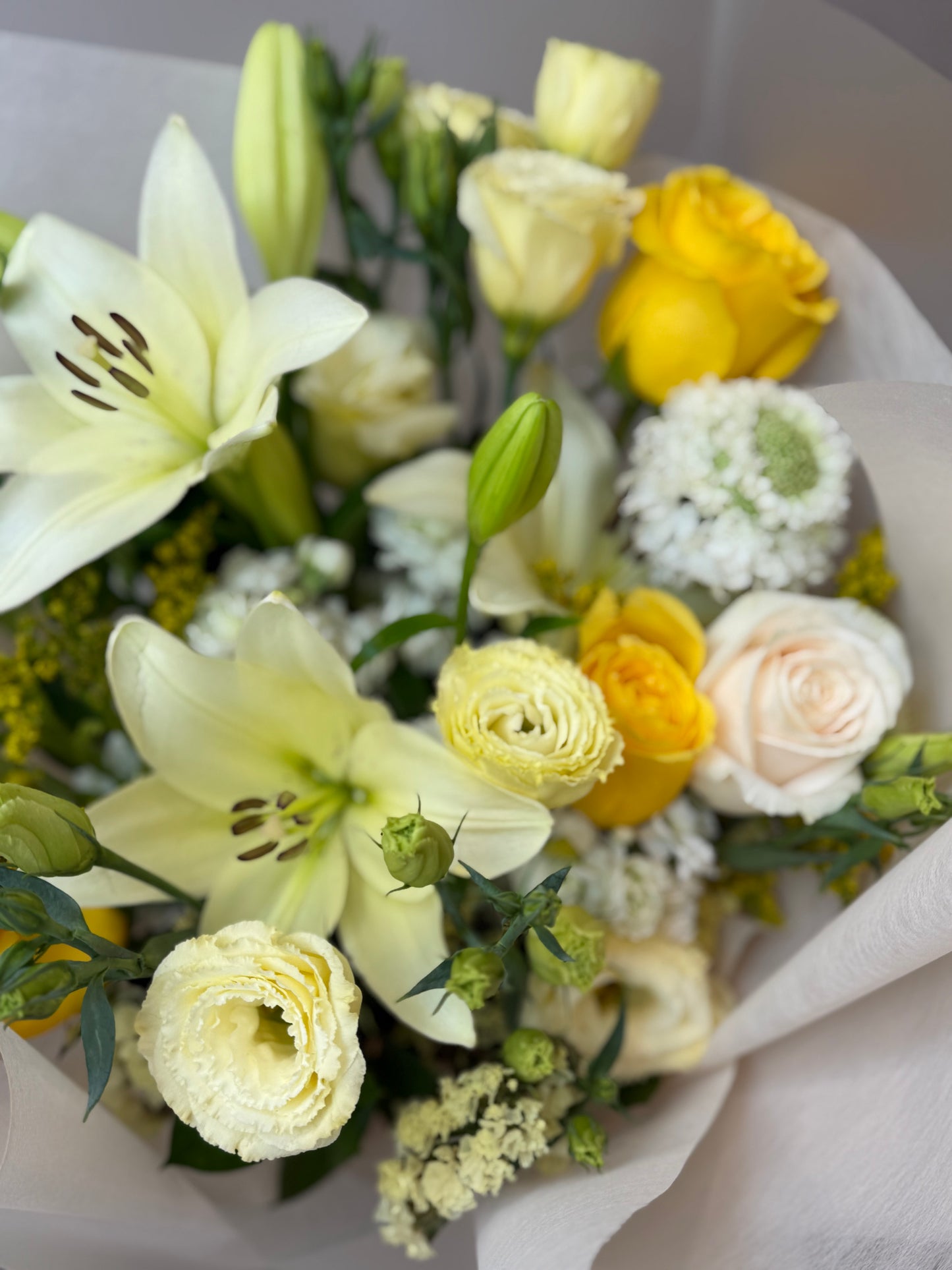 Golden Ivory Harmony