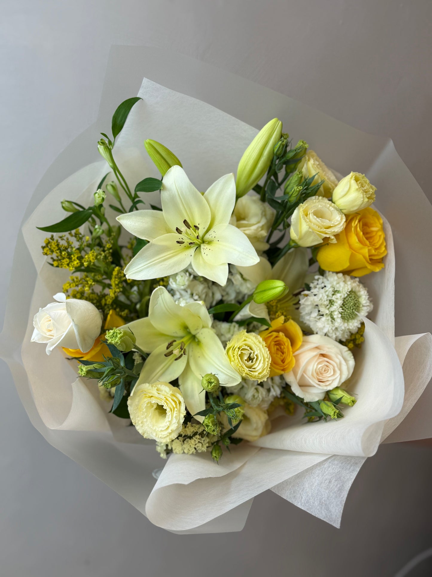 Golden Ivory Harmony