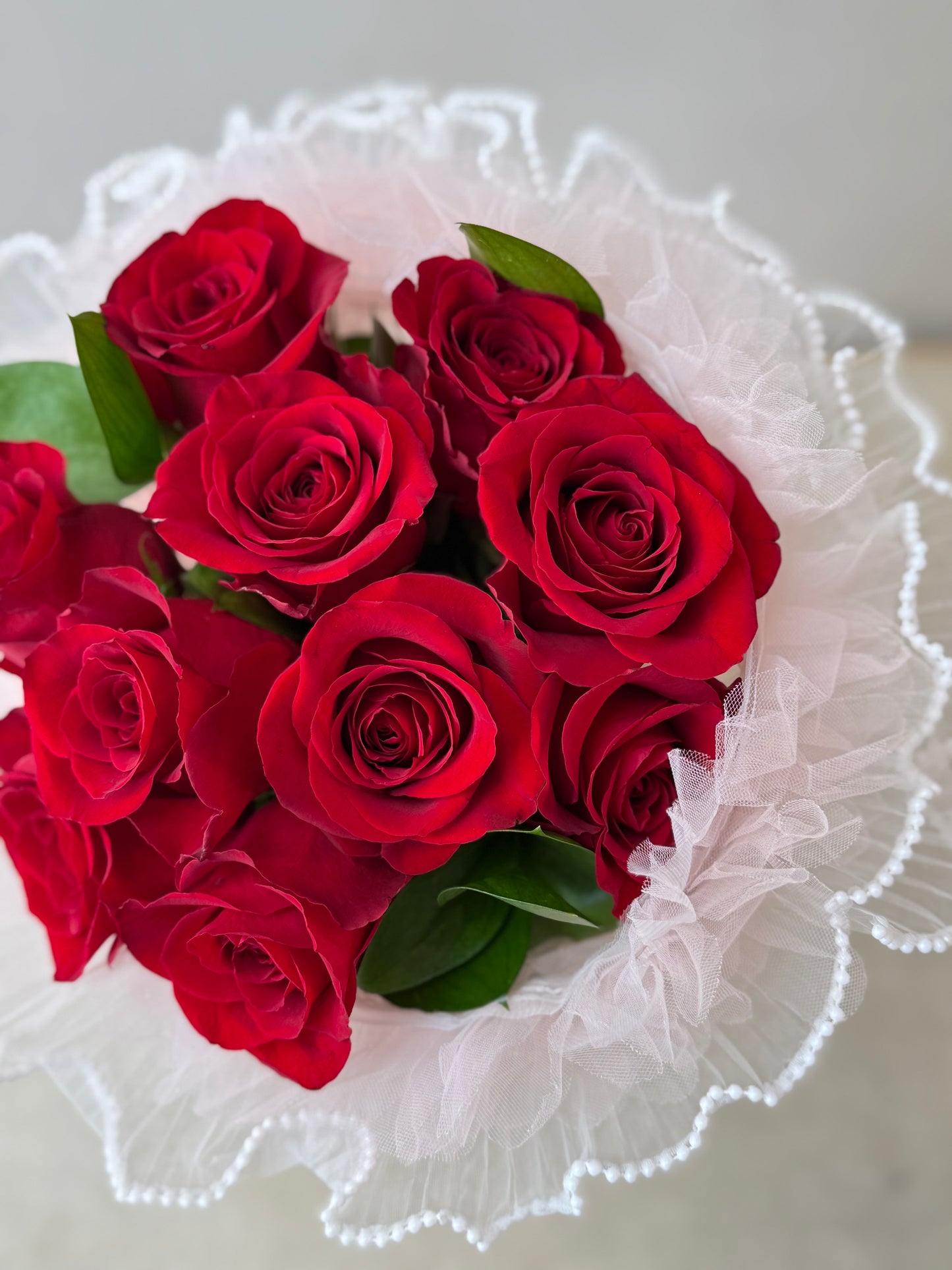 Crimson Promise