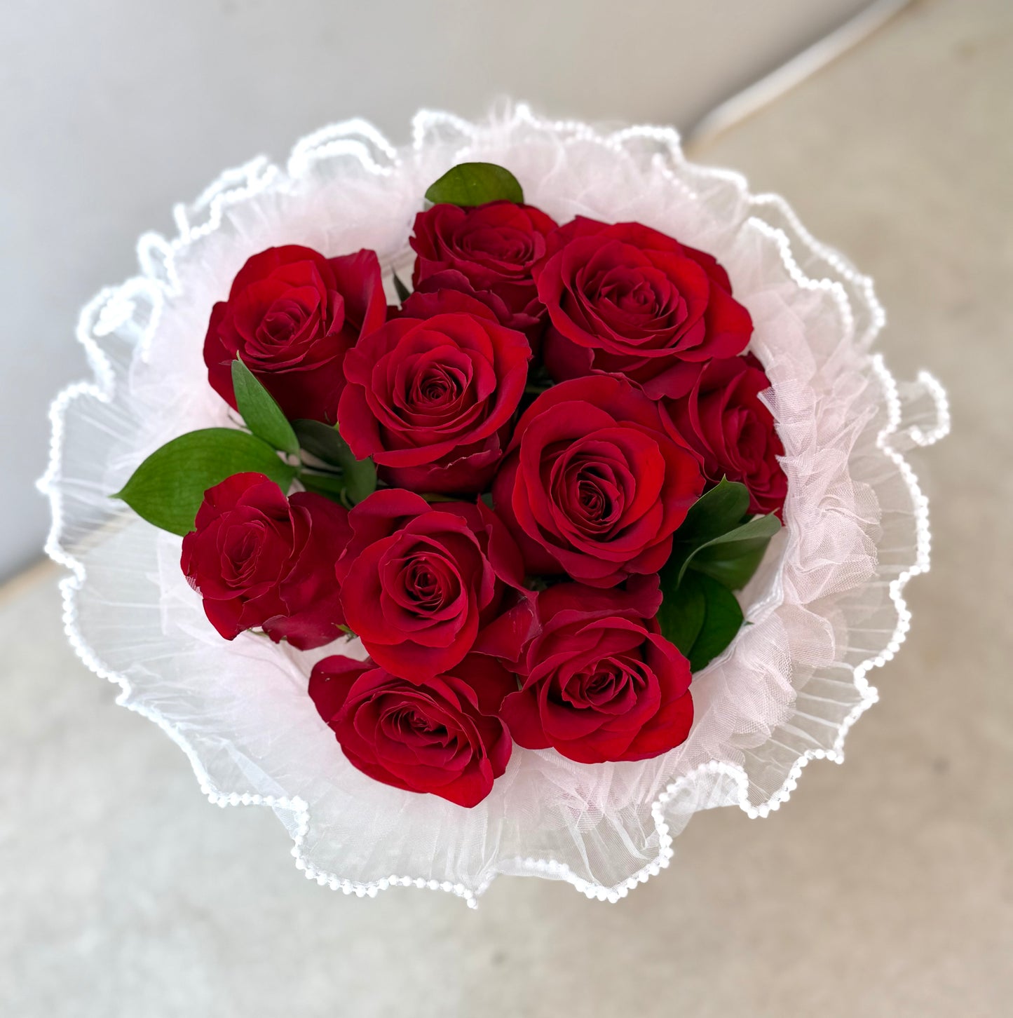 Crimson Promise
