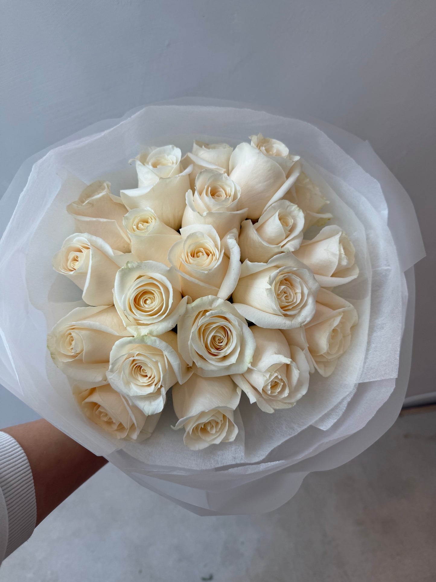 Pure Ivory Whisper