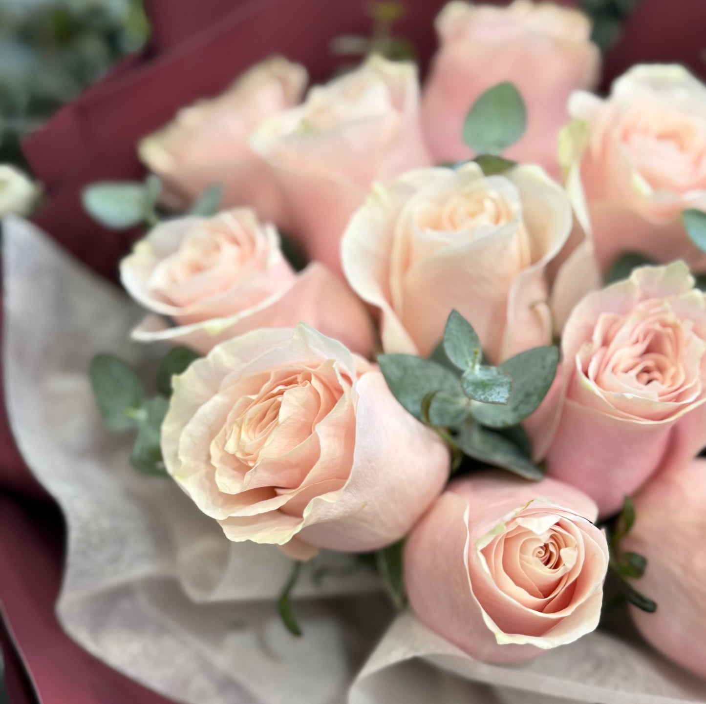 Blush Elegance