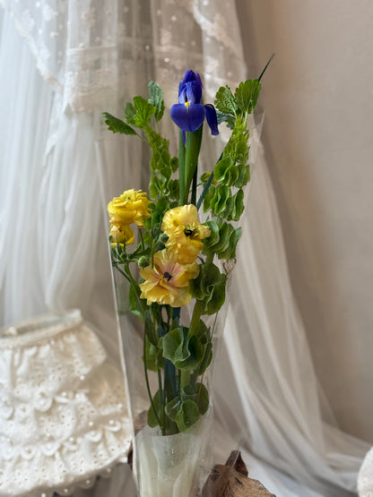 Sunlit Iris Harmony
