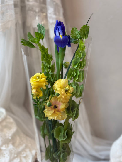 Sunlit Iris Harmony