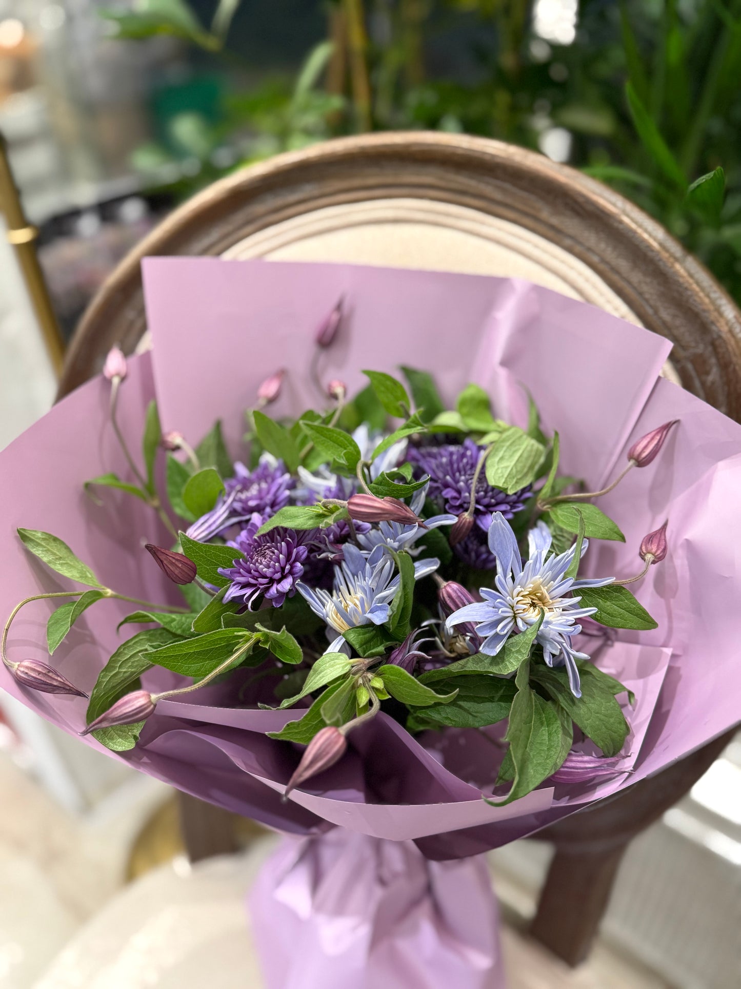 Spring in Violet