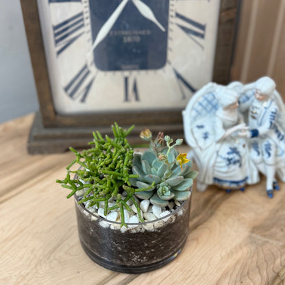 Mini Succulent Garden