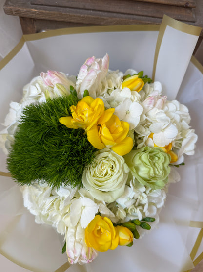 Soft Morning Glow