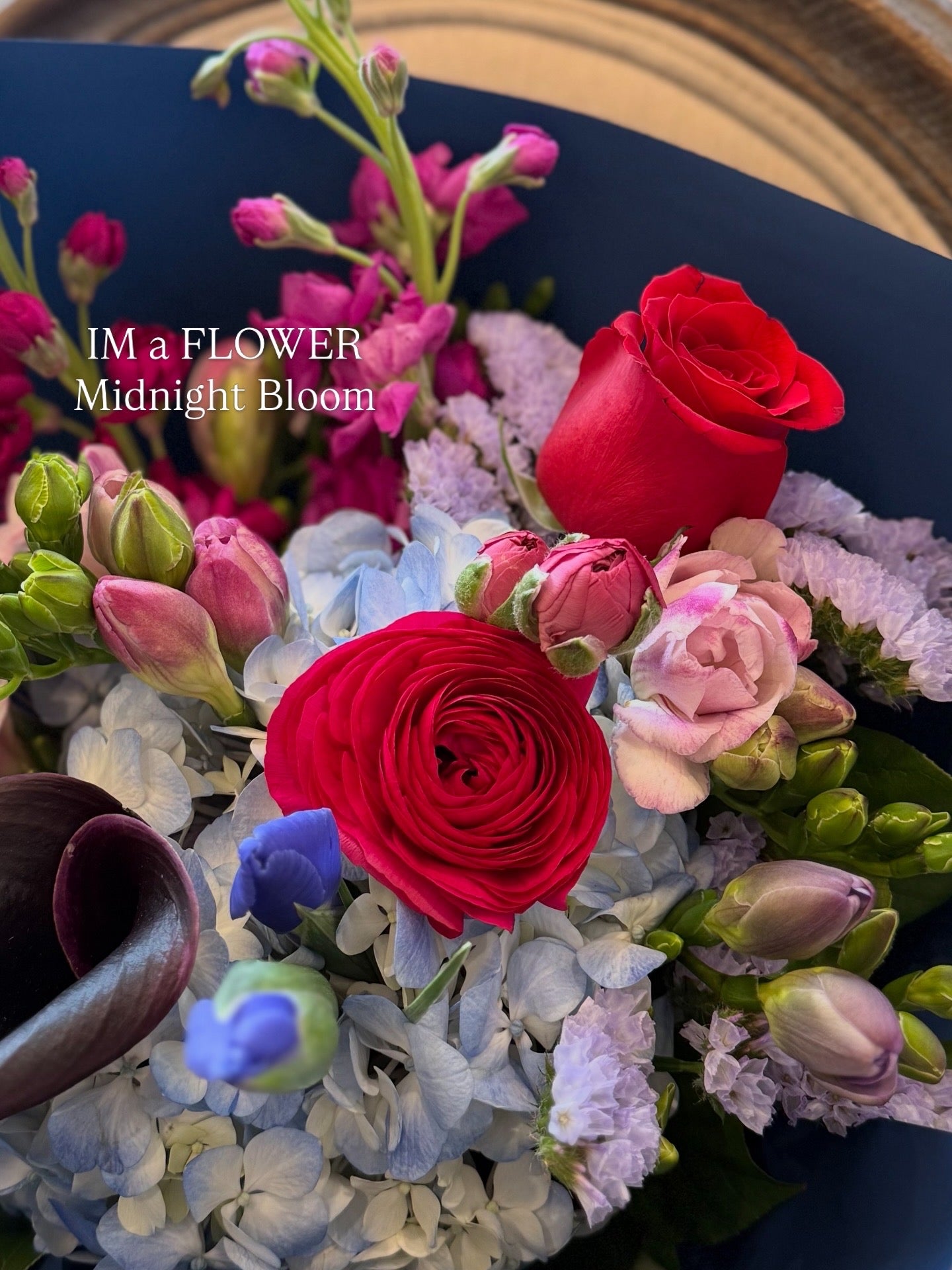Midnight Bloom