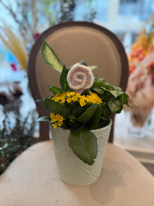 Swirl Candy