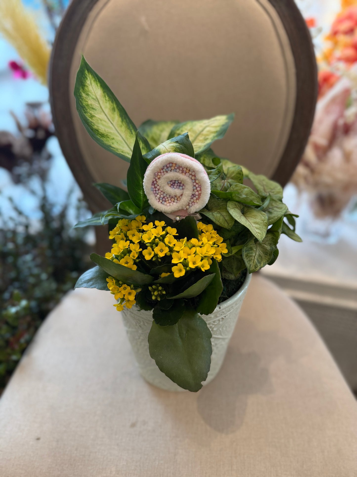 Swirl Candy