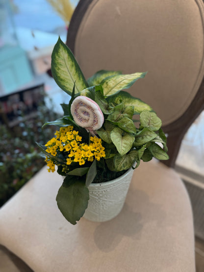 Swirl Candy