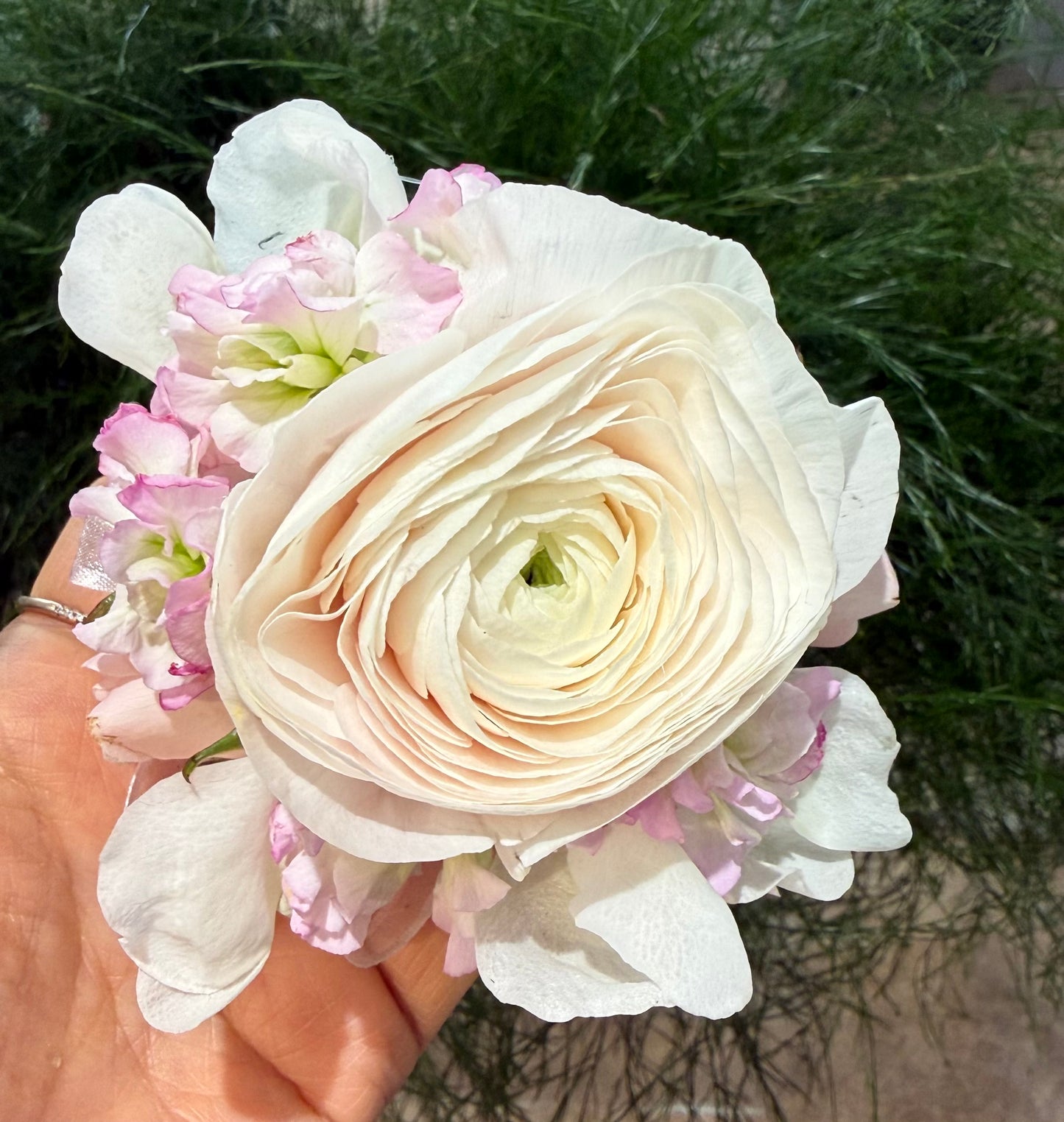 Endless Love Corsage & Boutonniere