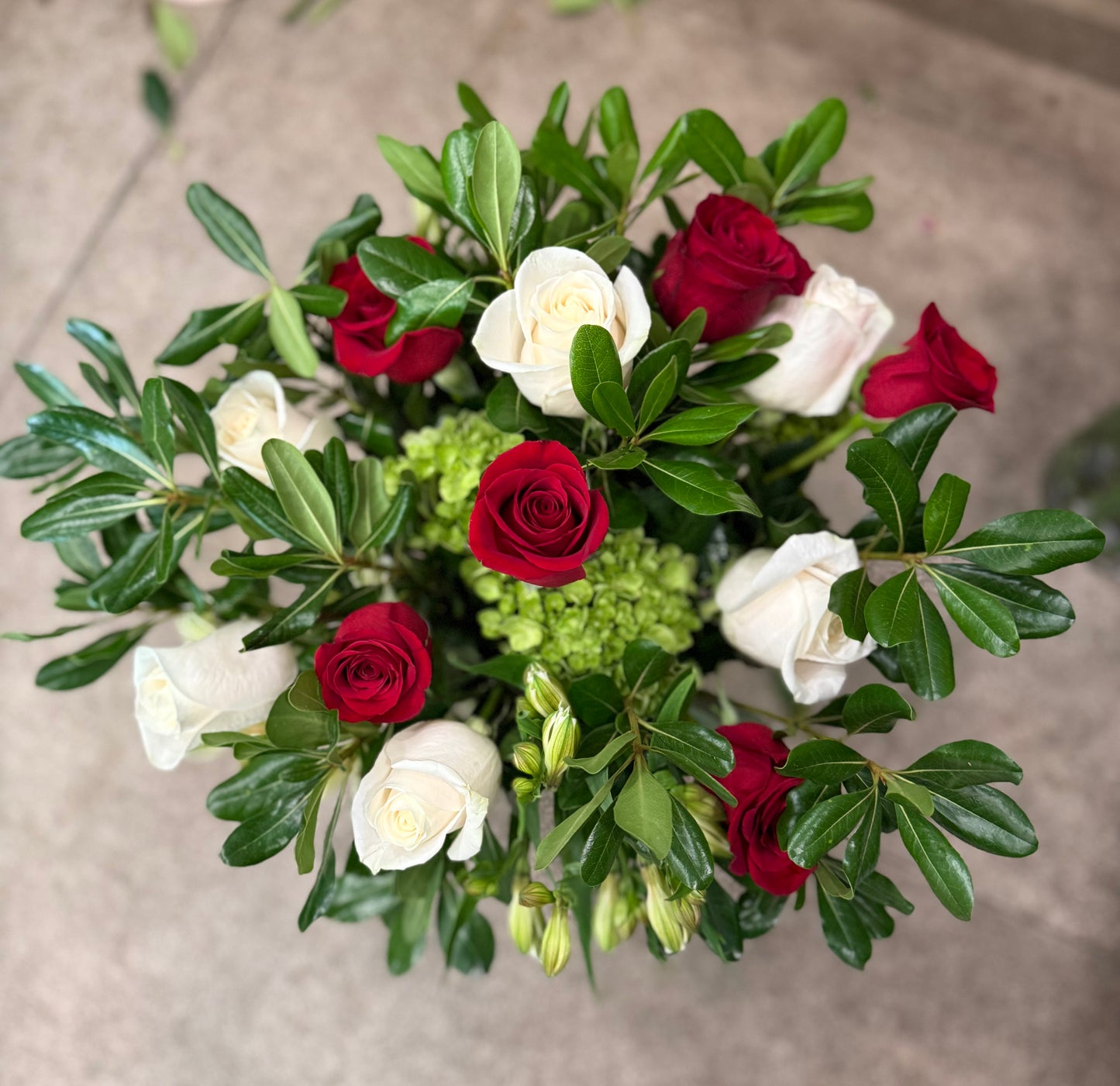 Ruby & Ivory Harmony
