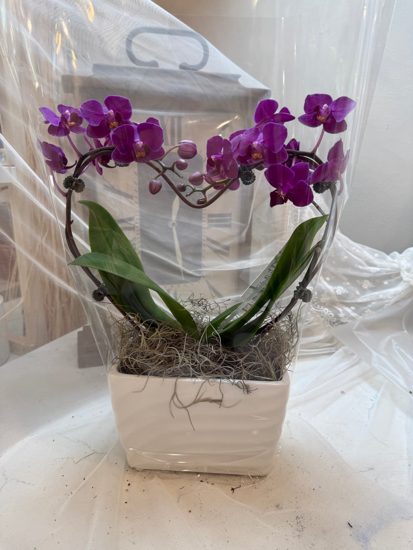 Purple Rain – Orchid Arrangement