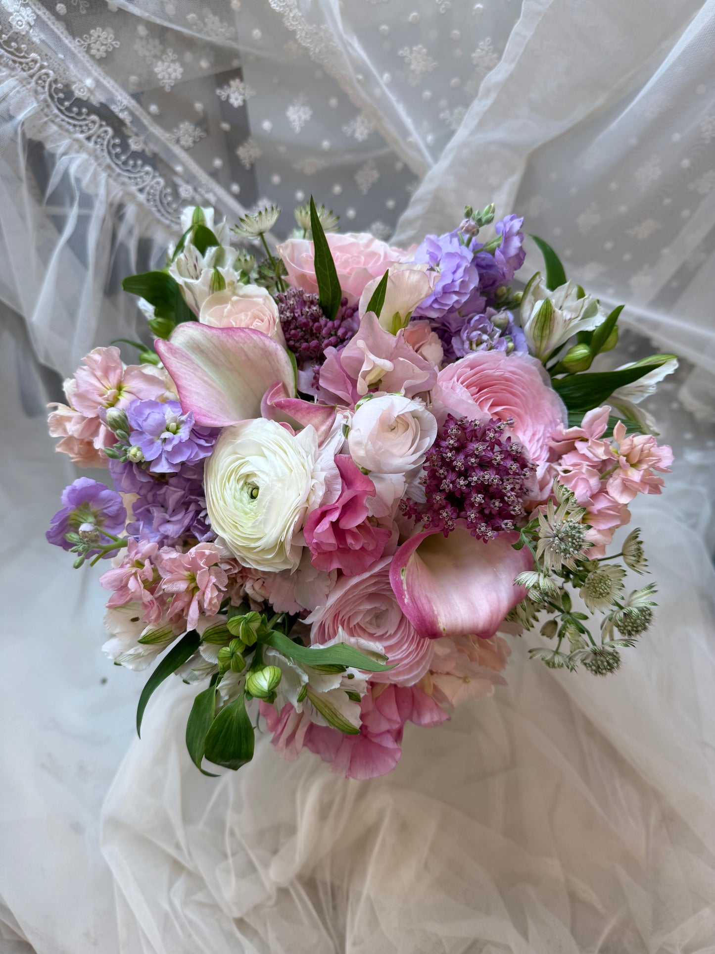 Lady Oscar-Arrangement