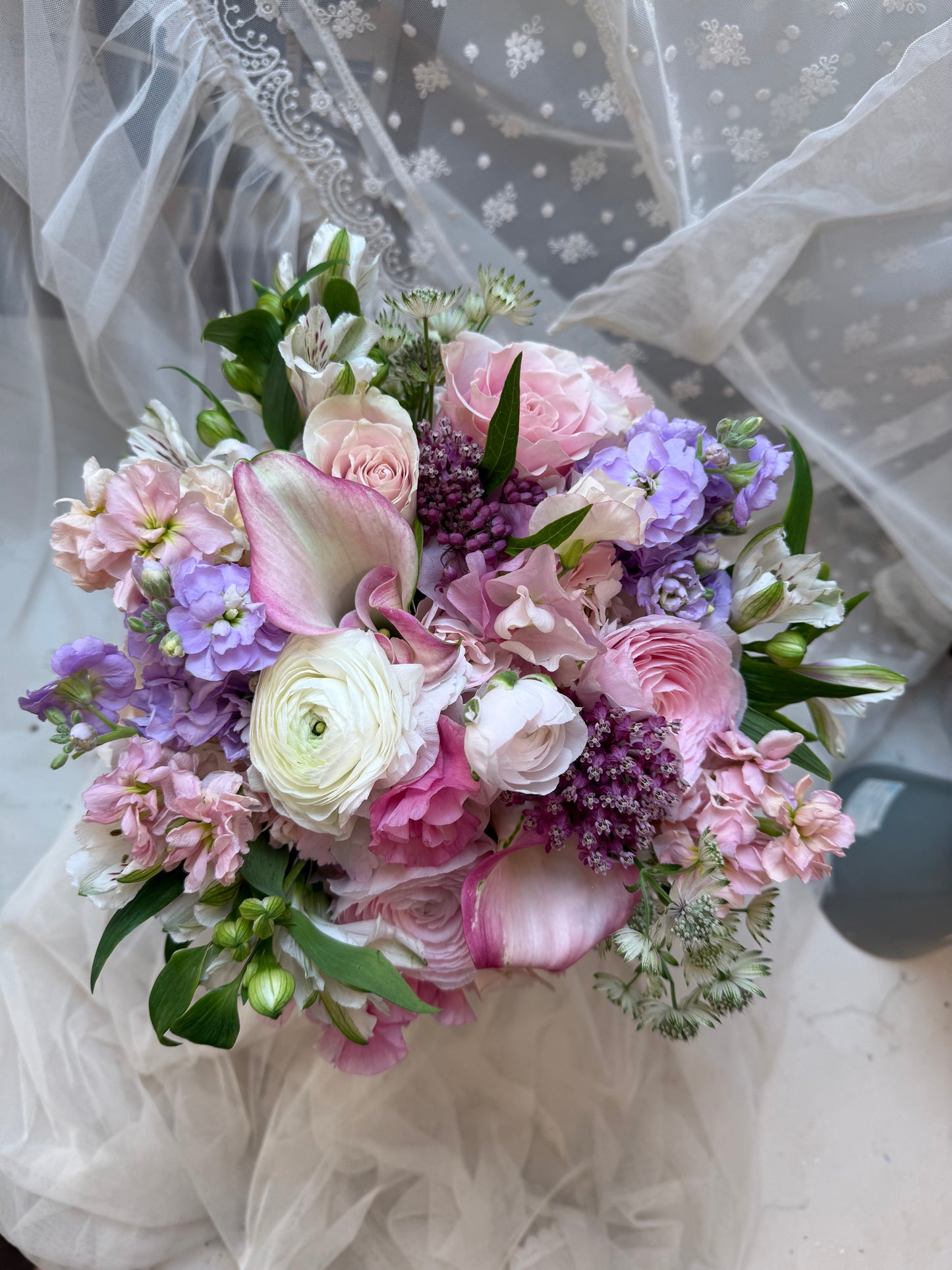 Lady Oscar-Arrangement