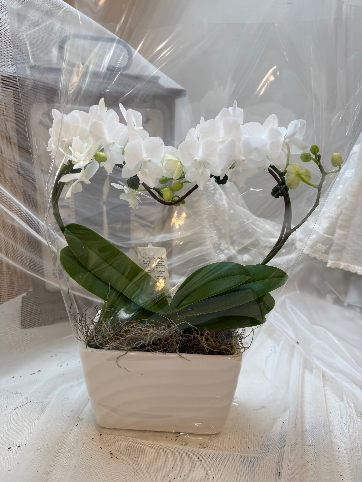 White Elegance