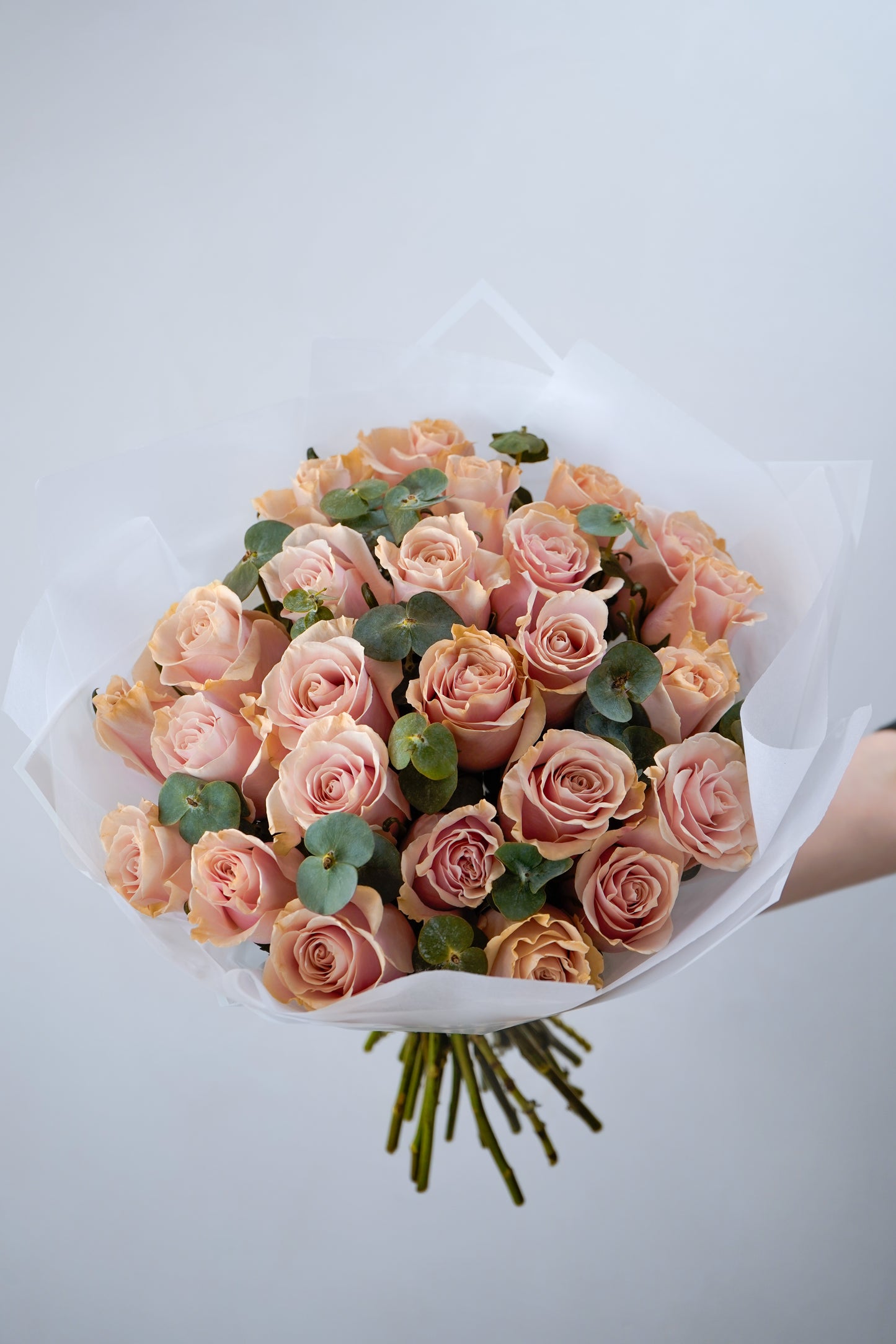 [Pre-Order] Blush Sand