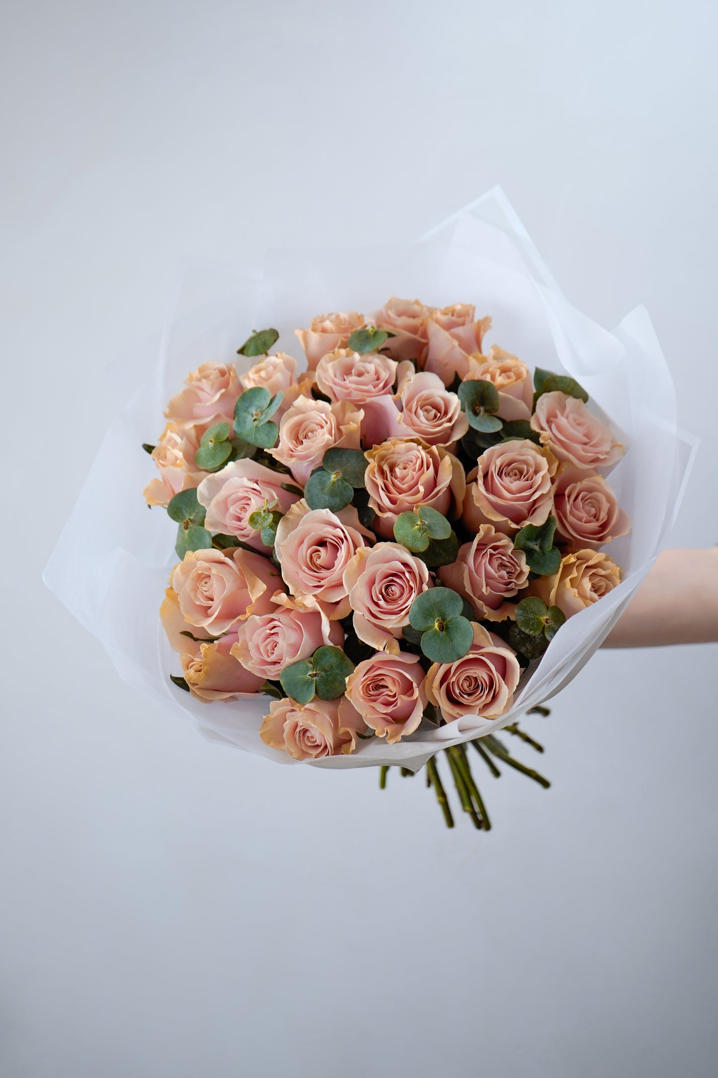 [Pre-Order] Blush Sand