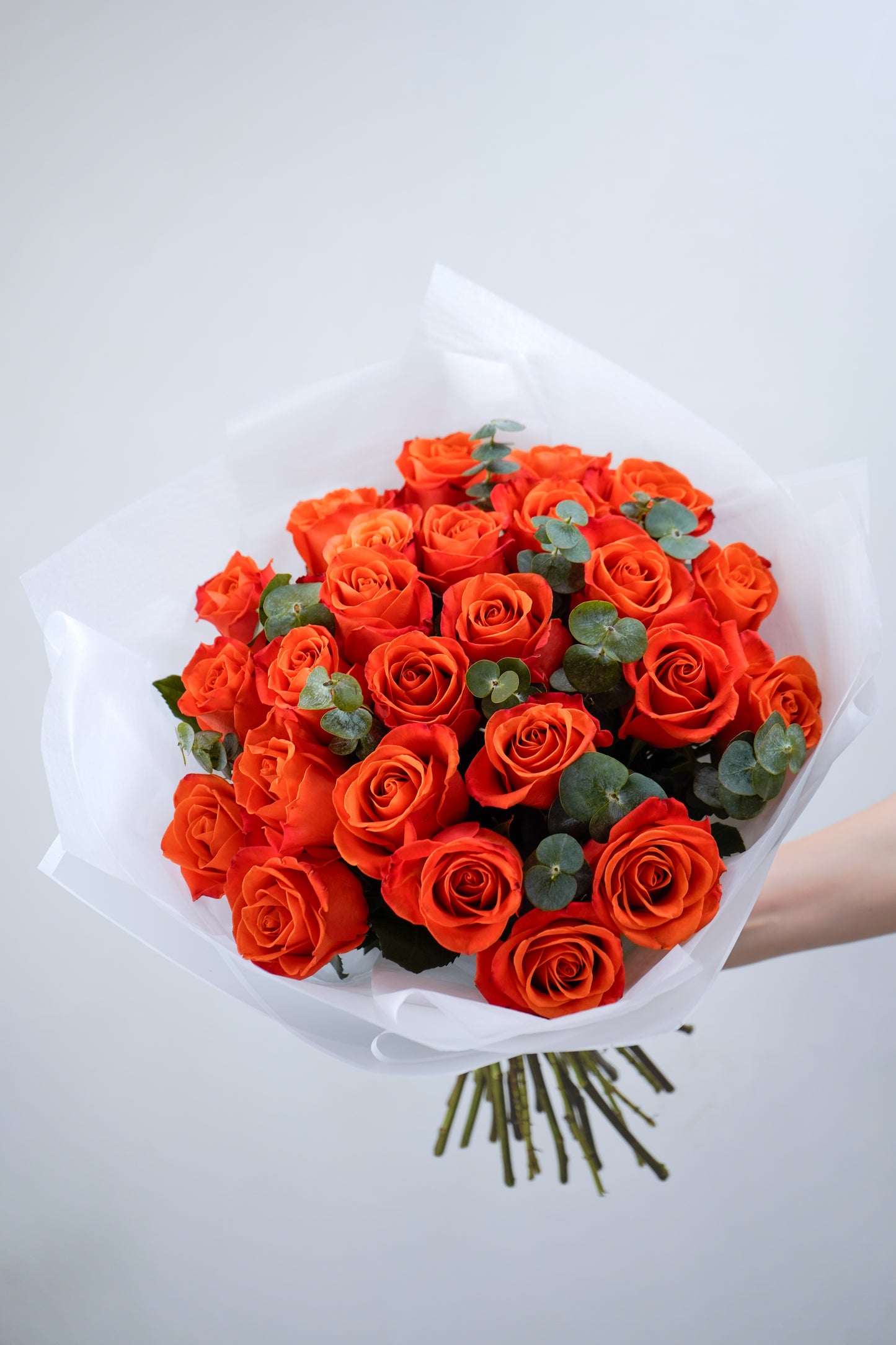 [Pre-Order] Bright Ember