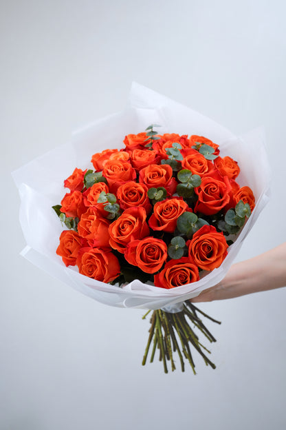 [Pre-Order] Bright Ember